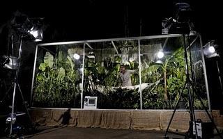 La Fotosíntesis, Experimento con Plantas