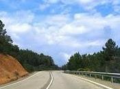 Fallece guarda caza tras atropellado Almadén