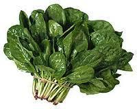 Remedios naturales para curar las hemorroides