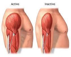 Atrofia muscular por denervación