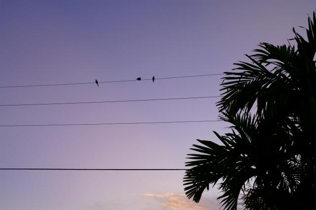 even brighter than the moon