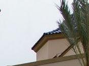 Rafal. Fiestas Patronales Virgen Rosario 2011