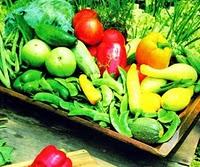 Que Alimentos Comer para estar Siempre Sano