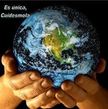 7 Frases Ecológicas