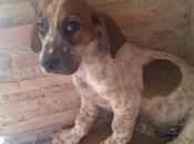 King, quiere ayudes olvidar pasado