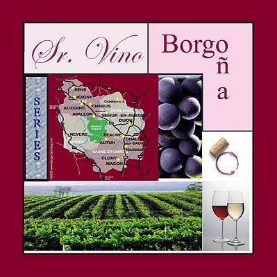 SERIES - Sr. Vino - Borgoña