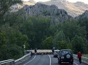 Trashumancia parte