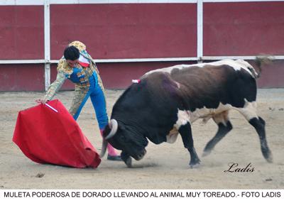 ALCALA LA REAL: DORADO TRIUNFA CON UN ENCIERRO DE RUCHENA