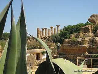 FOTOGRAFIAR TEMPLOS GRIEGOS