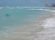 Gorgeous beaches: Miami Beach, Florida,