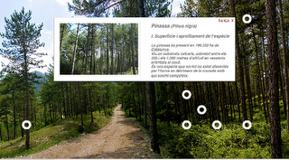 Nueva Aplicación para conocer los Bosques de Cataluña