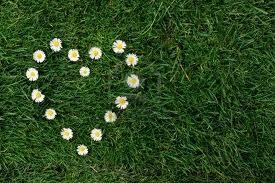 ME QUIERE, ¡NO ME QUIERE!