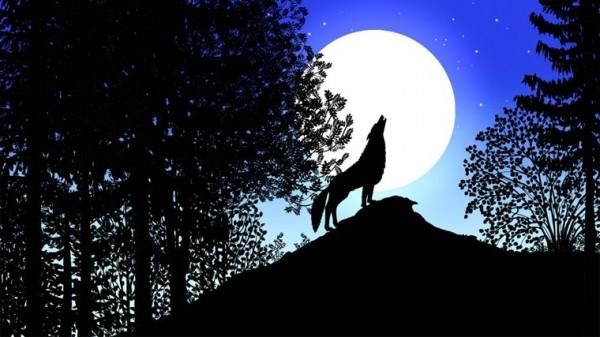 Les Contes de la Nuit, Francia 2011