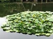 tener contrato indefinido hace comprometáis vuestra organización?