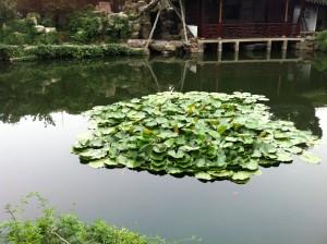 ¿EL TENER CONTRATO INDEFINIDO HACE QUE OS COMPROMETÁIS MÁS CON VUESTRA ORGANIZACIÓN?