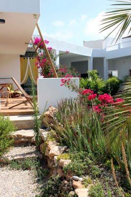 Un jardín en el desierto