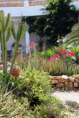 Un jardín en el desierto