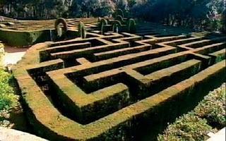 CINEFÓRUM DE SOBREMESA (porque el cine nos alimenta...)Hoy: Monos como Becky, (Joaquim Jordà y Nuria Villazán, 1999)