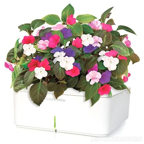 maceta-informatizada-logo Click and Grow – Maceta informatizada