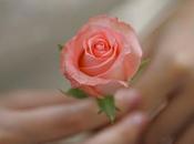 SEGO debe respeto todas mujeres. Únete Revolución Rosas