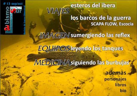 Trabajo de investigación publicado en la Revista de Divulgación de Biología Acuática y Buceo AbismoSur (Argentina): Las espojas del Titicaca…