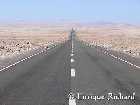 TIPNIS: Luto permanente por la falta de respeto sostenida a los Derechos de los Pueblos Originarios, a los Derechos Humanos y los Derechos de la Biodiversidad....