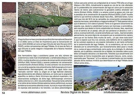 Trabajo de investigación publicado en la Revista de Divulgación de Biología Acuática y Buceo AbismoSur (Argentina): Las esponjas del Lago Titikaka…