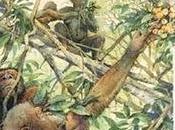 australopitecos