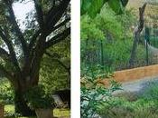 Jardin aromas
