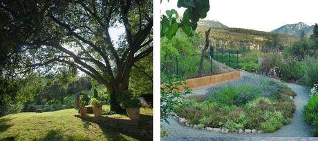 jardin-aromas-40 Jardin de los aromas