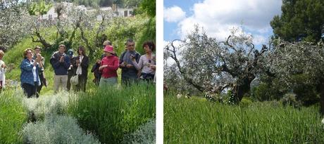 jardin-aromas-42 Jardin de los aromas