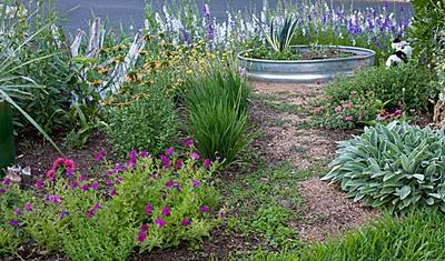 NUEVOS JARDINES RUSTICOS