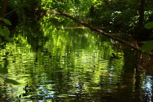 hechizado por las aguas...