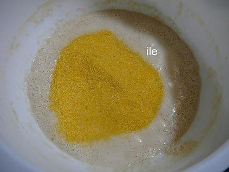 Levadura de cerveza seca Levadura de cerveza seca
