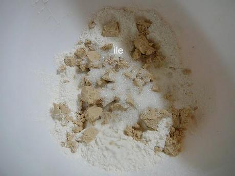 Levadura de cerveza seca Levadura de cerveza seca