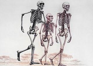 Seres humanos primitivos y actuales