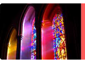 Cual verdadera iglesia