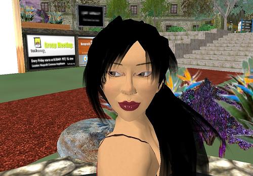 Ganar dinero por internet en secondlife.com