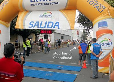 DSCN0670 Cada paso es una victoria completa