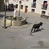 Fiestas de San Mateo en Peralejos de las Truchas