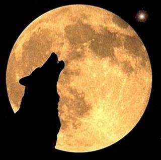 Los Perros y la Luna