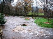 Niña Tormenta