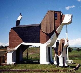 Arquitectura animal