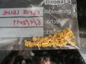 OLYMPUS DIGITAL CAMERA Ya estoy cultivando Kéfir