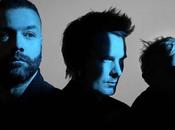 MUSE Won´t Stand Down