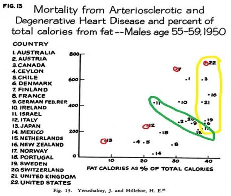 ¿Es bueno tener el colesterol alto?