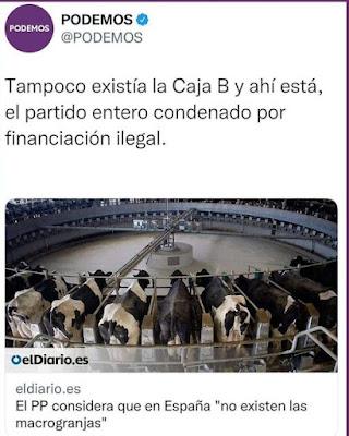 El “peligro” del semáforo de salud mental entre los músicos. El “peligro” del semáforo de salud mental entre los músicos.