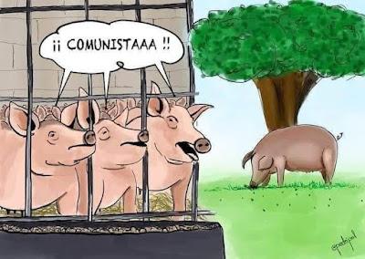 El “peligro” del semáforo de salud mental entre los músicos. El “peligro” del semáforo de salud mental entre los músicos.