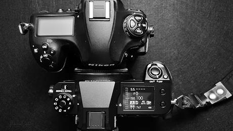 Comparativa Fujifilm GFX 100S vs Nikon D850 Comparativa Fujifilm GFX 100S vs Nikon D850