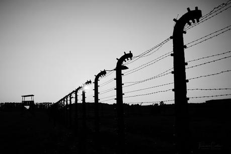 Auschwitz. Residencia de la muerte